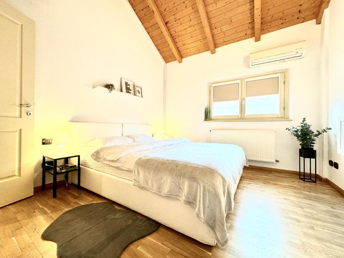 The Loft Apartment Timisoara Luaran gambar